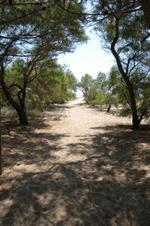 Camping Village Orri Tortolì Eksteriør billede